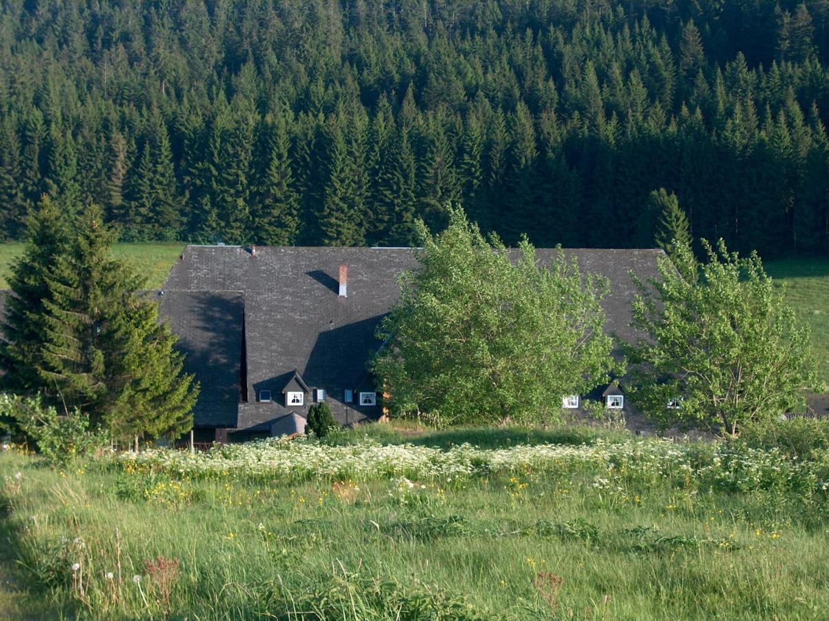 Zur Traube Schwarzwaldhotel & Restaurant Am Titisee Санкт-Мерген Экстерьер фото