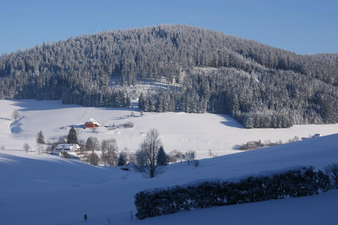 Zur Traube Schwarzwaldhotel & Restaurant Am Titisee Санкт-Мерген Экстерьер фото