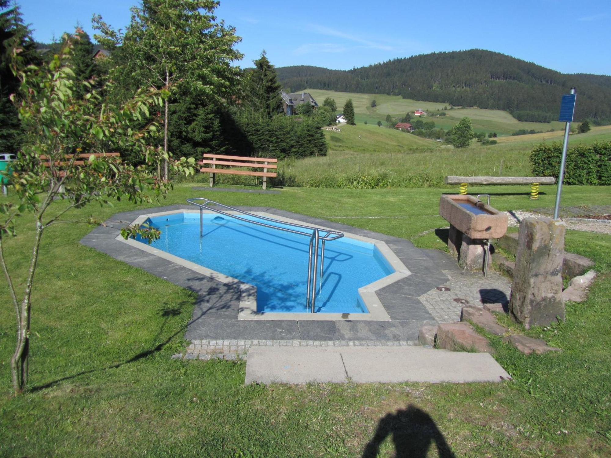 Zur Traube Schwarzwaldhotel & Restaurant Am Titisee Санкт-Мерген Экстерьер фото